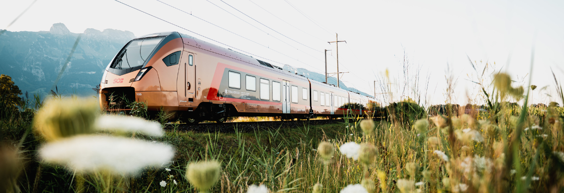 Zug der Südostbahn fährt durch die Landschaft